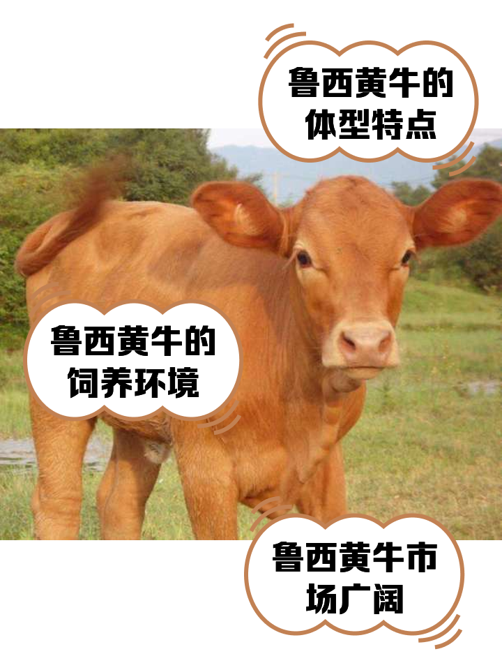 广汉最新医保取现黄牛方法分析(最方便真实的广汉医保取现黄牛怎么取方法)